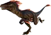 raptor Server