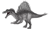Spino Server
